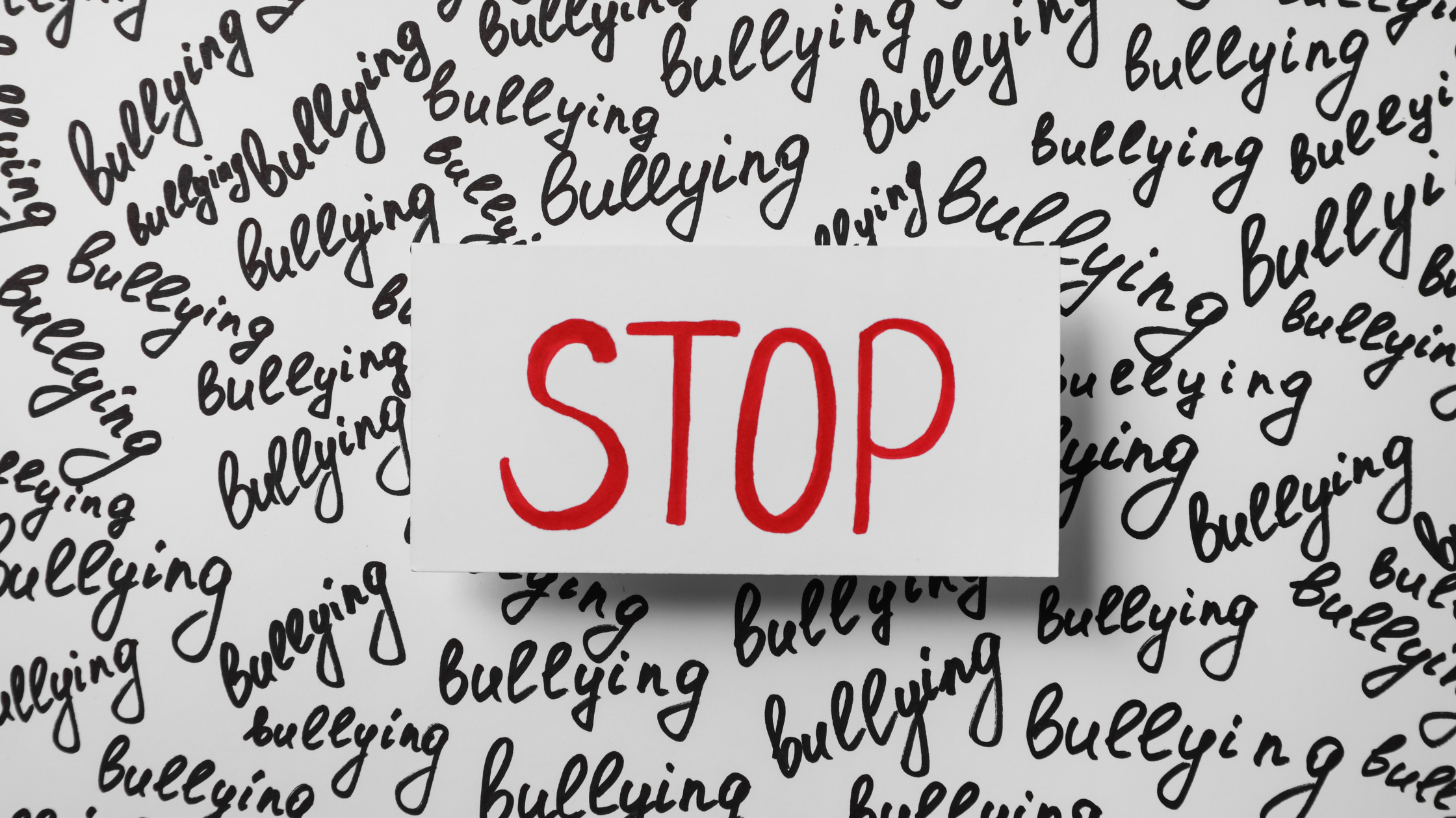 Navigating Bullying